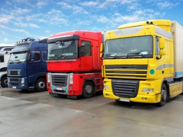 İzmir Sürmene Nakliye